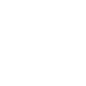Summer Virtual Leadership Experience